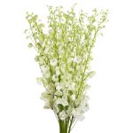 Bulk White Delphinium