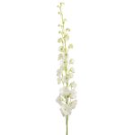 Bulk White Delphinium