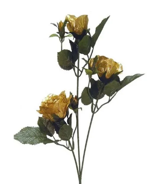 Gold Spray Roses11