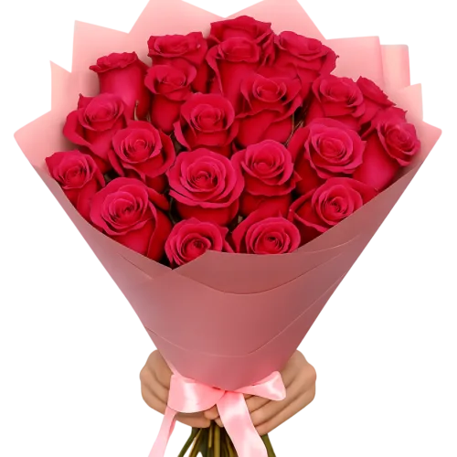 Hot Pink Roses11