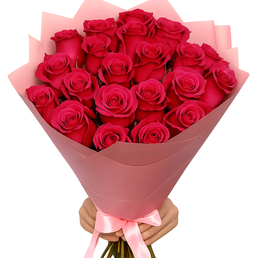 hot pink roses Hot Pink Roses11