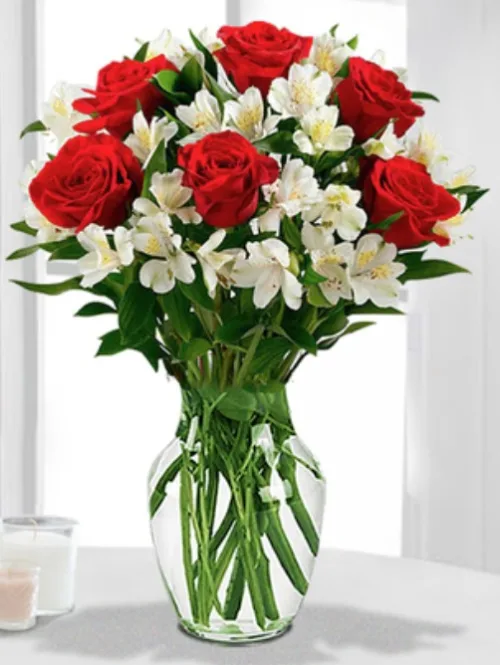 Valentine's Day Roses11