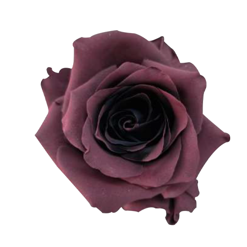 Prune Amethyst