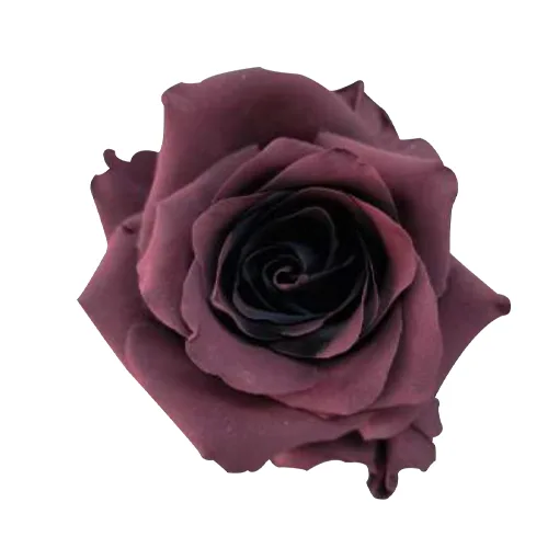 Prune Amethyst