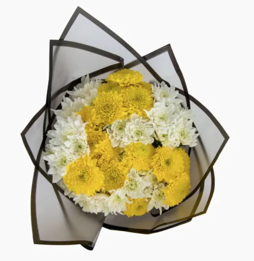 White & Yellow Chrysanthemums1