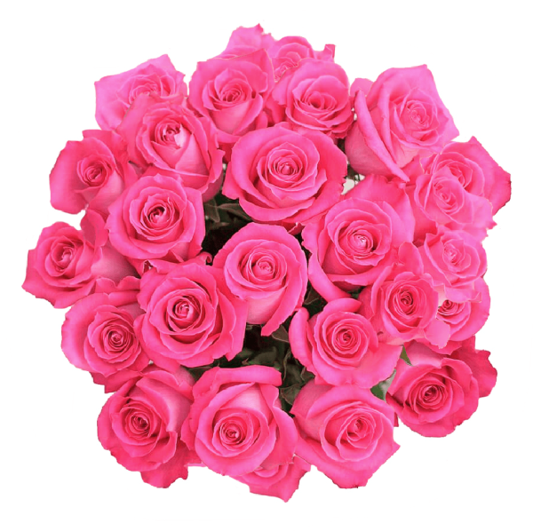 Roses 25 Stems – Shades of Pink1