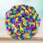Roses Rainbow