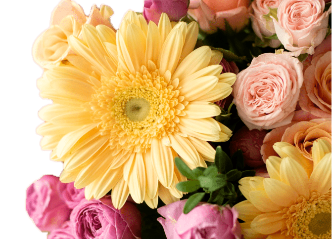 torontobulkflowers