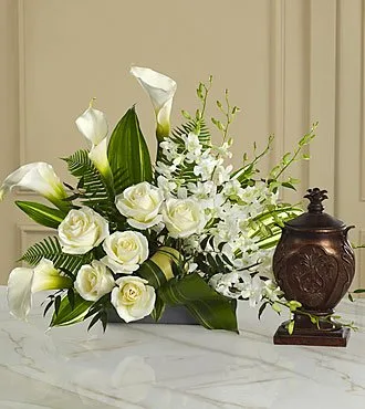Photos & Urns